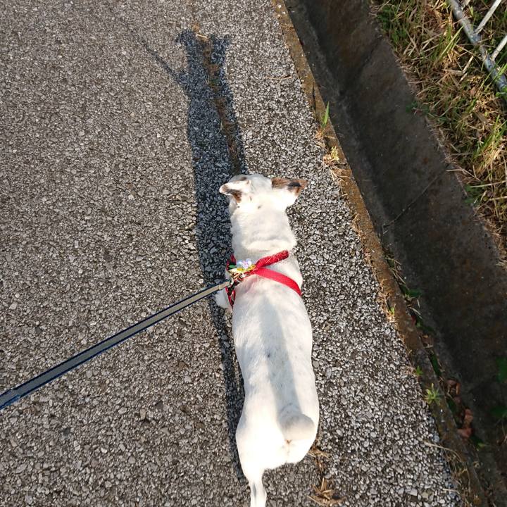 9c20c6e1 09d7 4e6e 947b 84dc524070e6 1591658811989