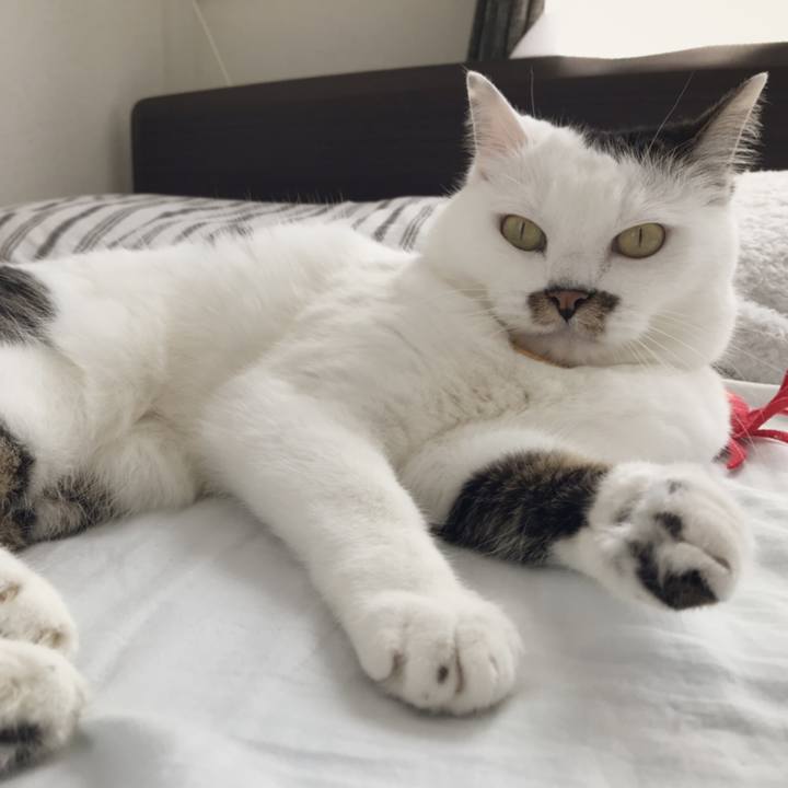 9c20ee1e 4eb0 4065 b207 8c4c36fc52bb 1560658370782