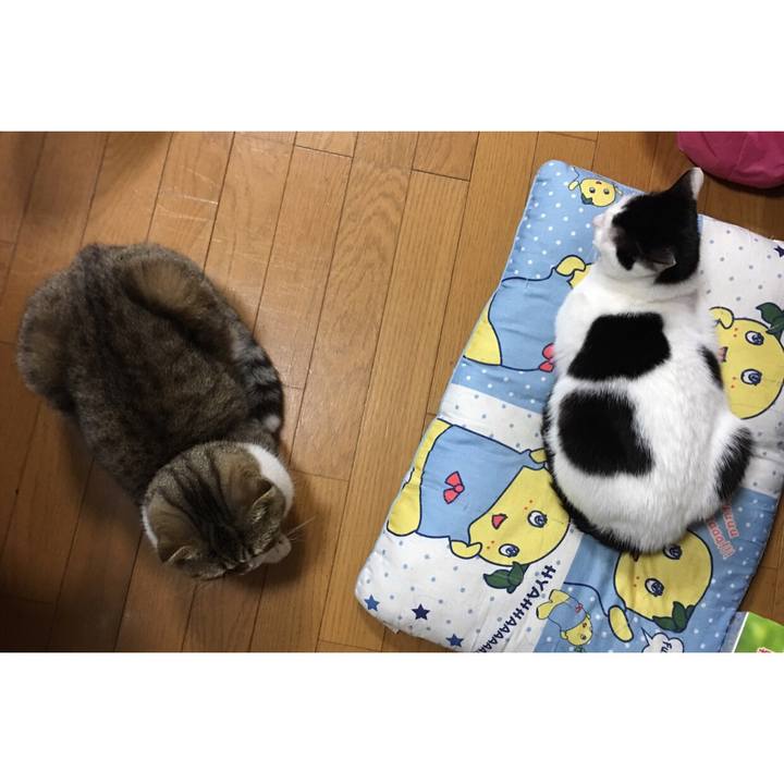 9c210335 e2bc 4682 8101 302292120b62 1545145796591