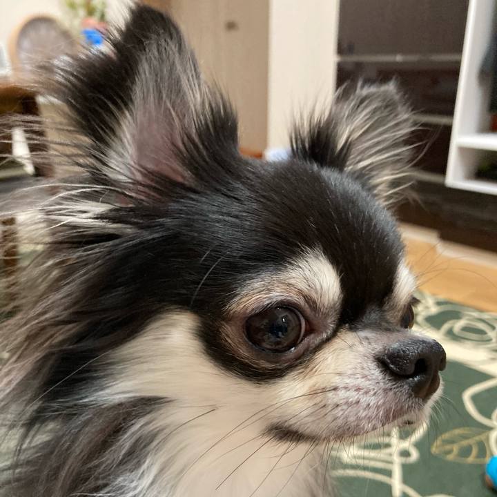 9c21158c 8c8d 4e9f 8fce 95ba420783d5 1637673708576