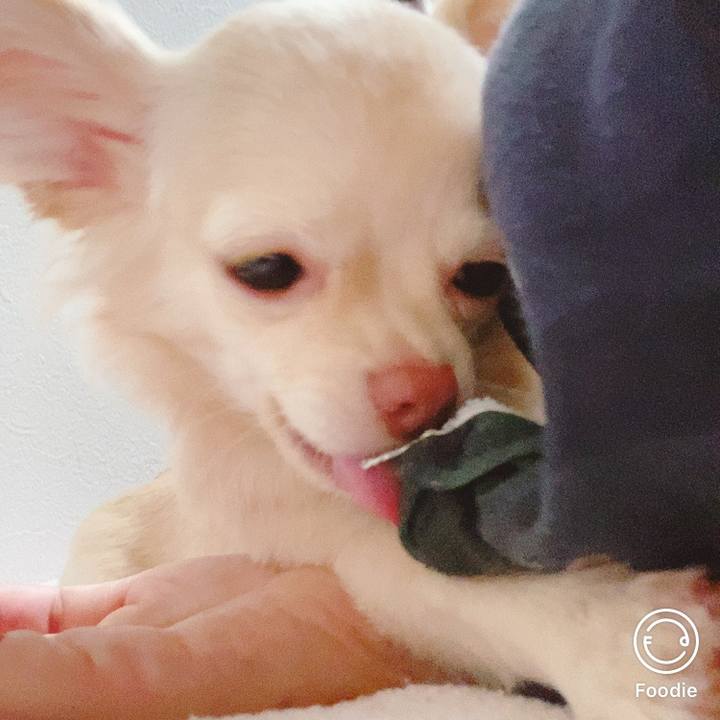 9c211628 a83a 441b 92ea 9459cf74ae1b 1600463554350