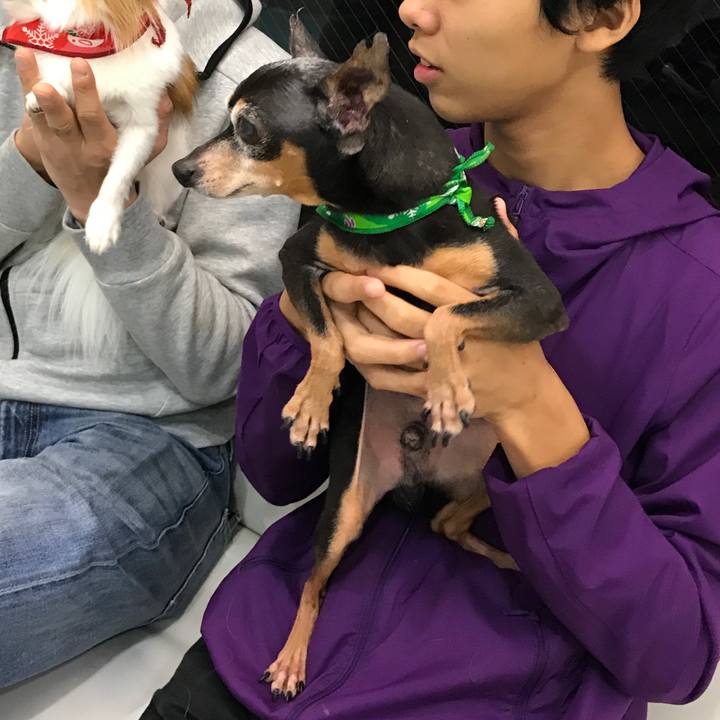 9c212479 c5ec 473a bc7e 6fb1d3e3582f 1508068600529