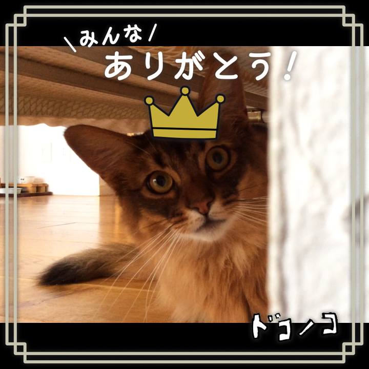 9c214a4b 7960 4e7e a5d1 bdd3081c3f67 1622870451232