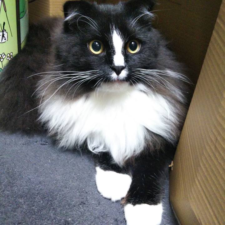 9c217a21 aad1 4d03 b7fc 9d0c1f5f8174 1657196577338