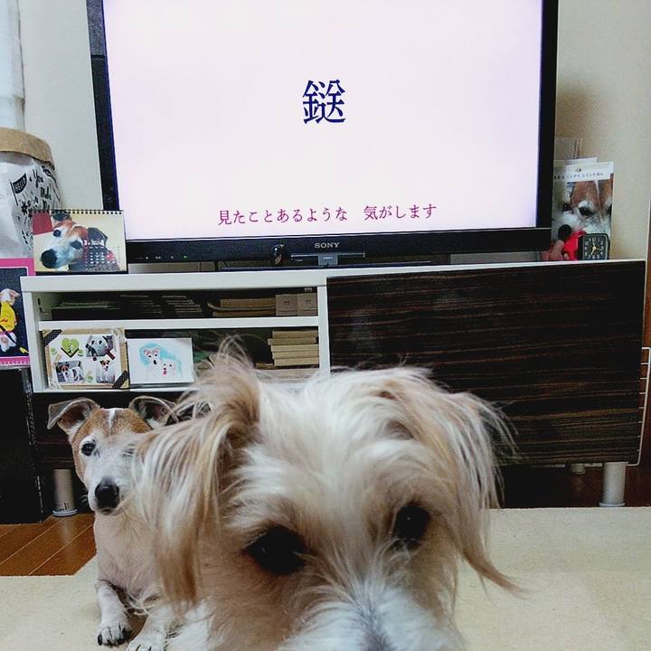 9c21eb32 419f 4422 a5b4 b048ab96da8f 1584310075838