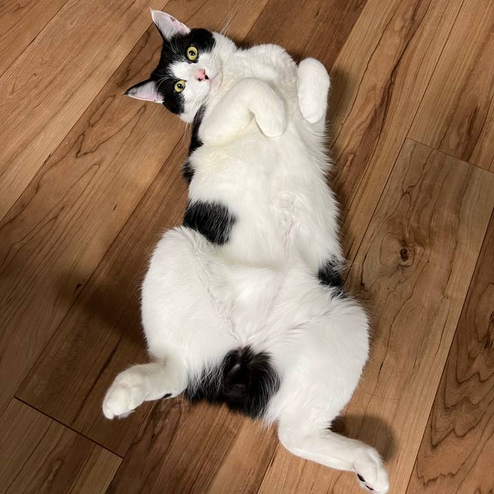 9c21ef22 7052 4f40 a95e 1d645d319fda 1647695104916