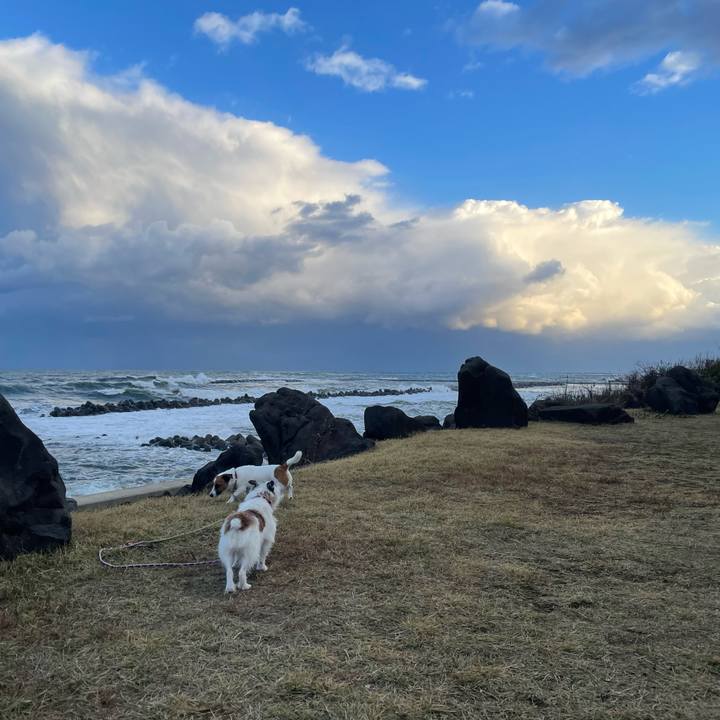 9c21fde4 d4a9 4464 8786 7a481fac564d 1762817086253