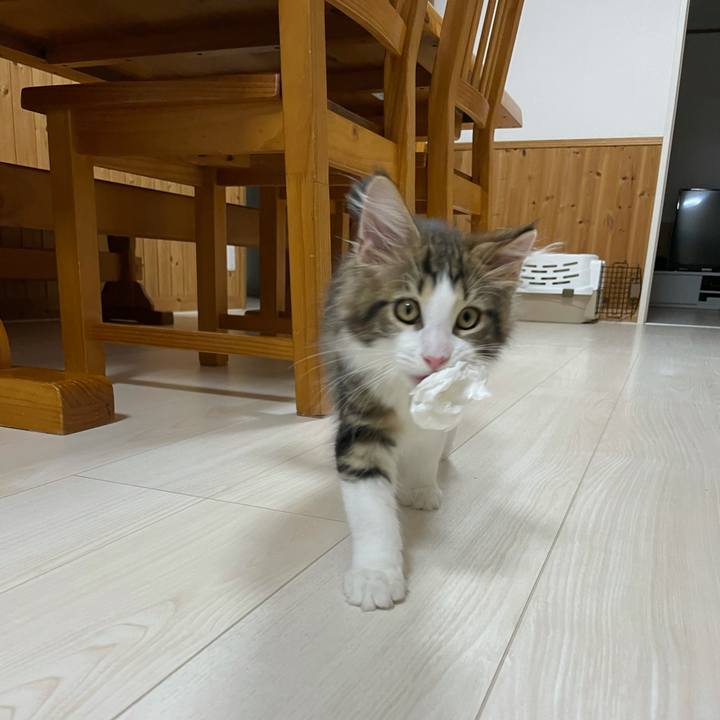 9c221b21 f3ac 4b51 8d6f a6145ef30d42 1632571739586