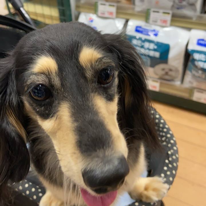 9c224de2 1dfc 4caa 8b22 a77091dd4bcf 1745044349892