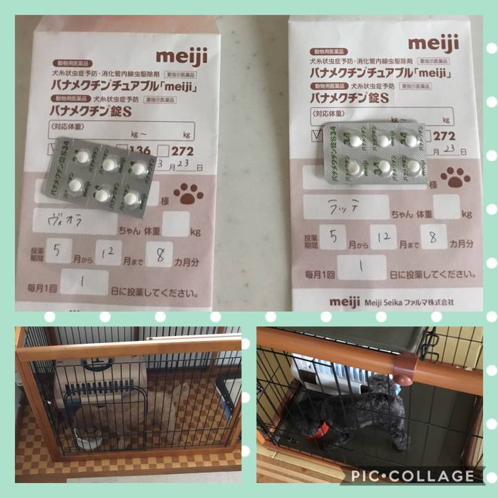 9c2291e7 e1c3 4adc 8a79 cd771e9c7277 1590961020319