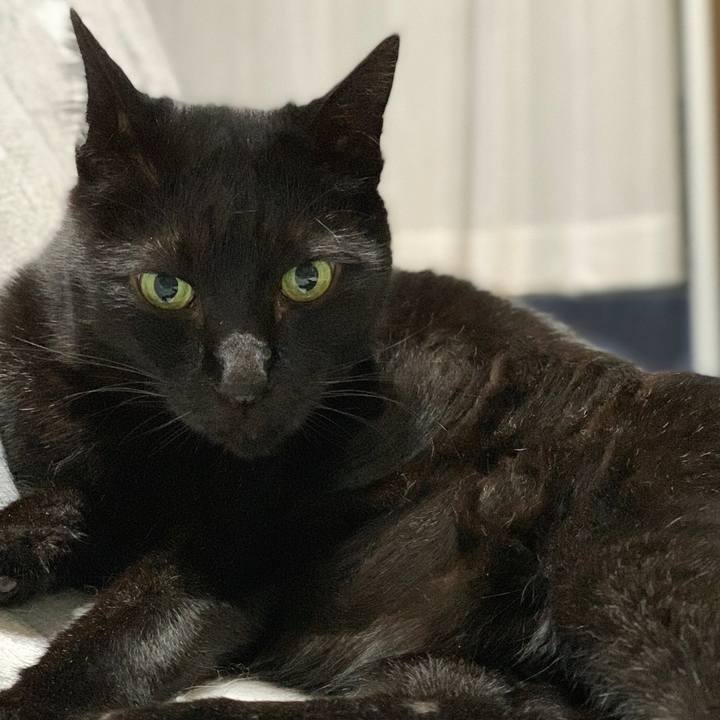 9c22b298 51f4 4559 b6e8 2cae8058d80e 1577669972596