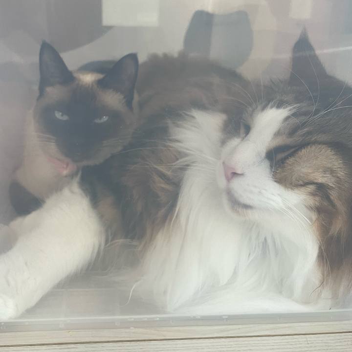 9c22bb1a b46d 428b a2d3 7e10de486338 1718695477186