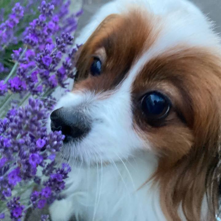 9c22c4a4 bd46 4bdf 9776 bdd83878005d 1687734034666