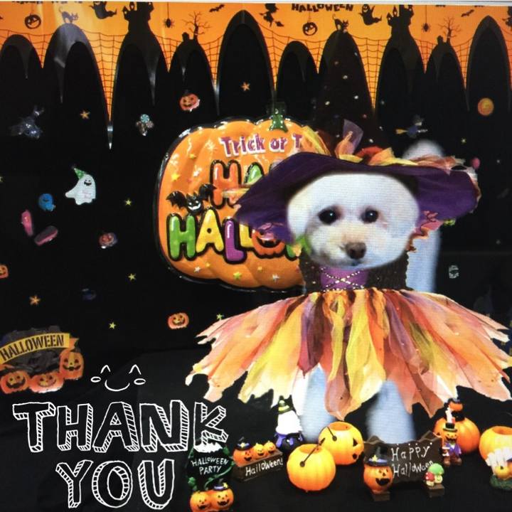 9c22e09a ab4b 4a97 a1c7 4954ab7bc0d2 1508656087034