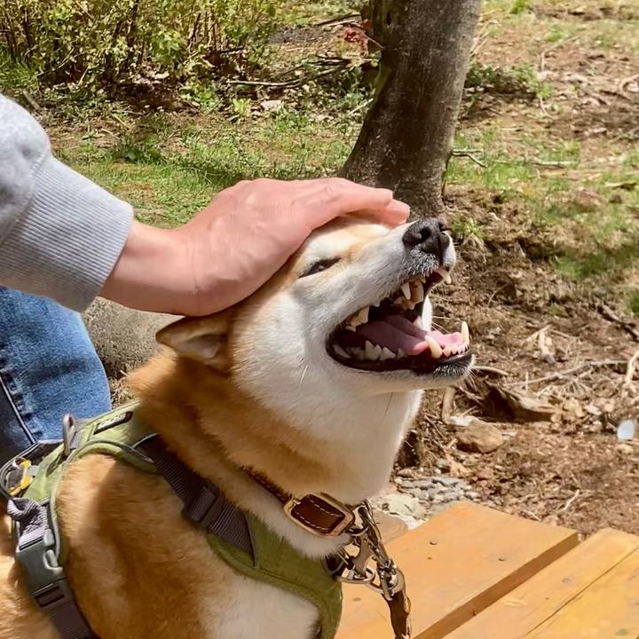 9c230a6c bc79 4505 b1c3 59c5c7f3add6 1747006580977