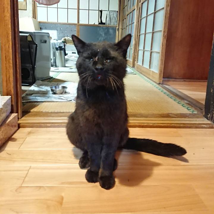 9c232deb 5be4 422d 96e5 b3f9b2390121 1623496877897