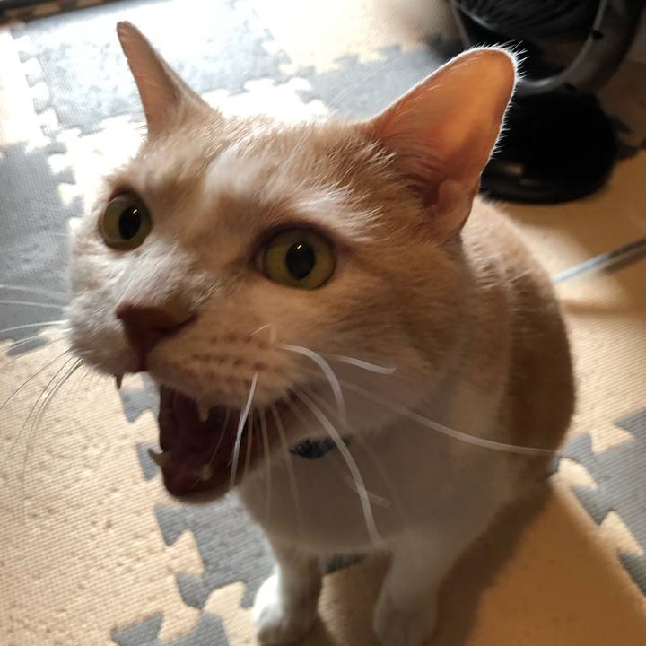 9c23304b 14a0 4c63 bf27 889a4765a77a 1569922169203