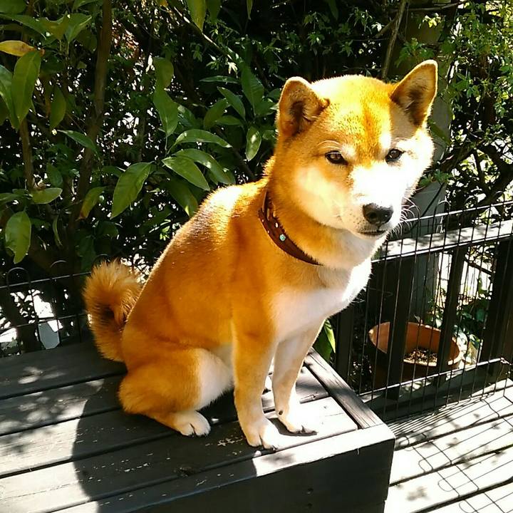 9c233b20 d0b4 4279 a3a6 0a0d04ddc0af 1554172183911