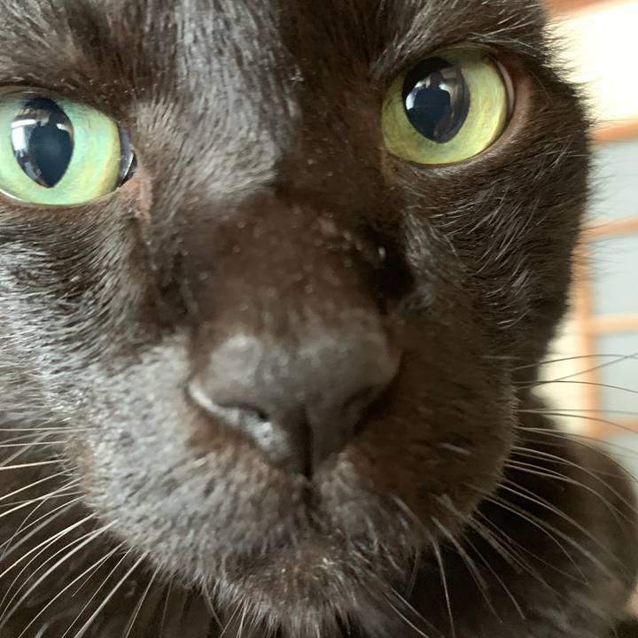 9c2341c3 f251 4ee9 94c7 2ddc097f2a01 1568424052436