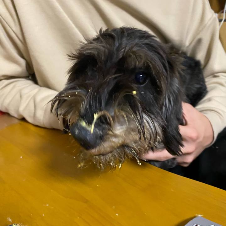 9c23859e 1885 4557 a78e cfa9aecb916b 1607954416398