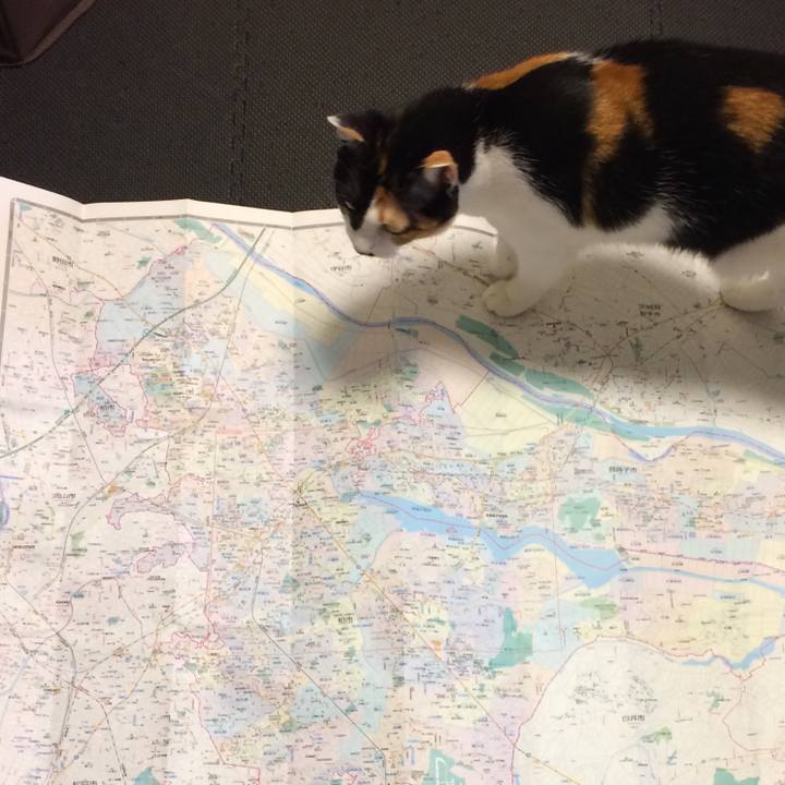 9c239c76 38ab 41df 8237 4f47b6399250 1540390287297