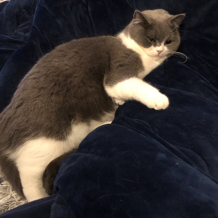 9c23aee1 e441 4563 8784 1a652f3e277e 1552652612509