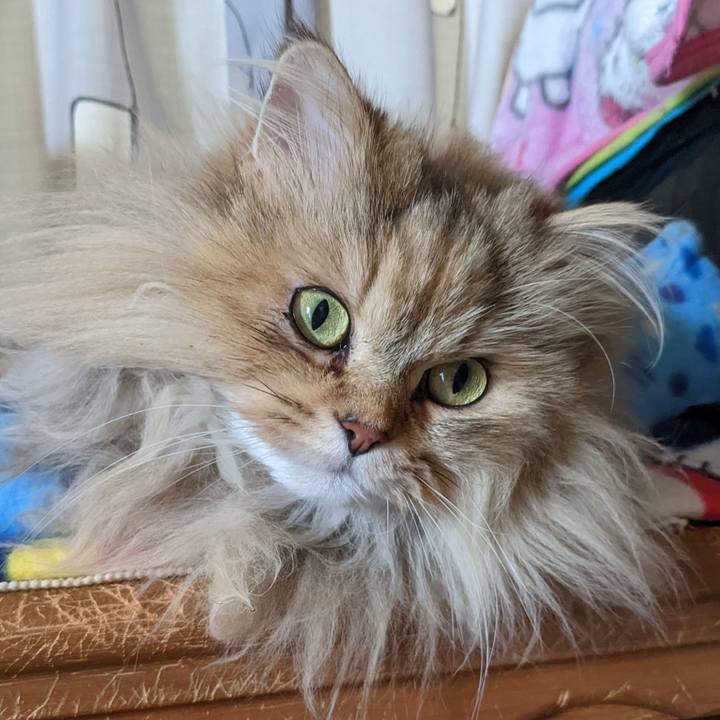 9c23c38b 4871 40f3 b84c eaa04e336b20 1646803300541