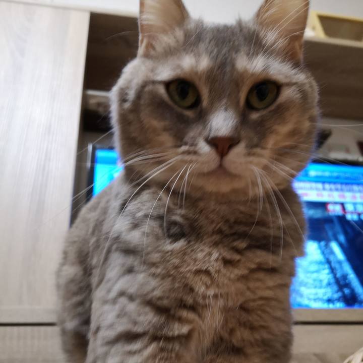 9c23c4bf 8ebc 48fe 975e 0c73521c122a 1570890280472