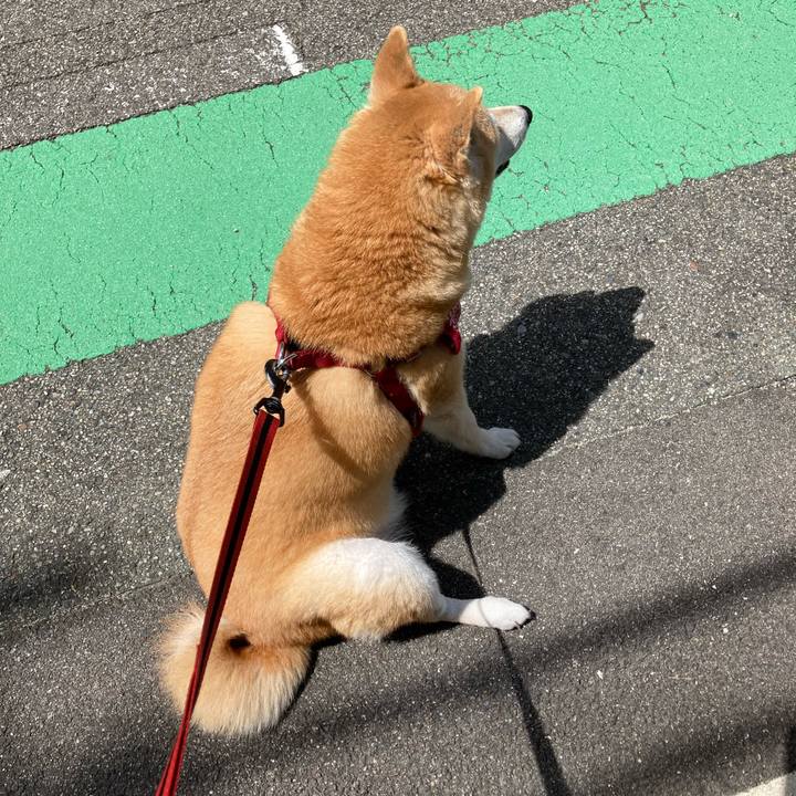 9c23d20a 53a5 456a 8f7d 0d259a34c395 1624288594689