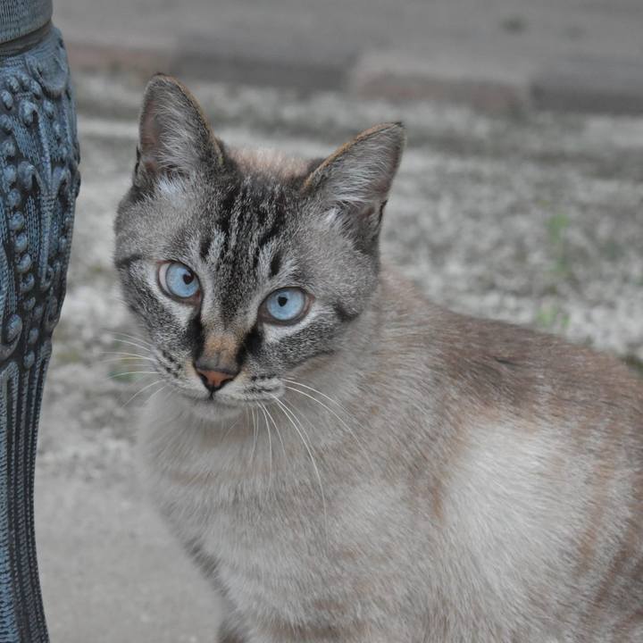 9c23d34f ed6c 4e9c 987d 98db3b96db61 1751582210176