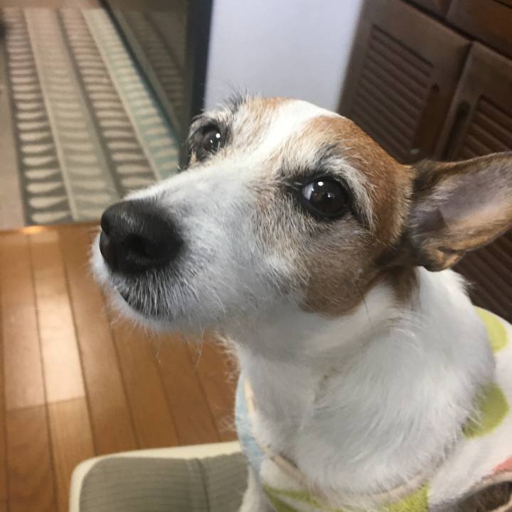 9c23f4d6 a832 46d1 8765 dbd55c77436a 1588378404078