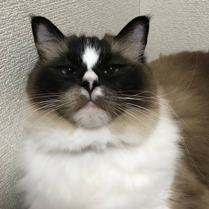 9c2423d2 683f 40d7 82d4 335afc774b9e 1529966201074