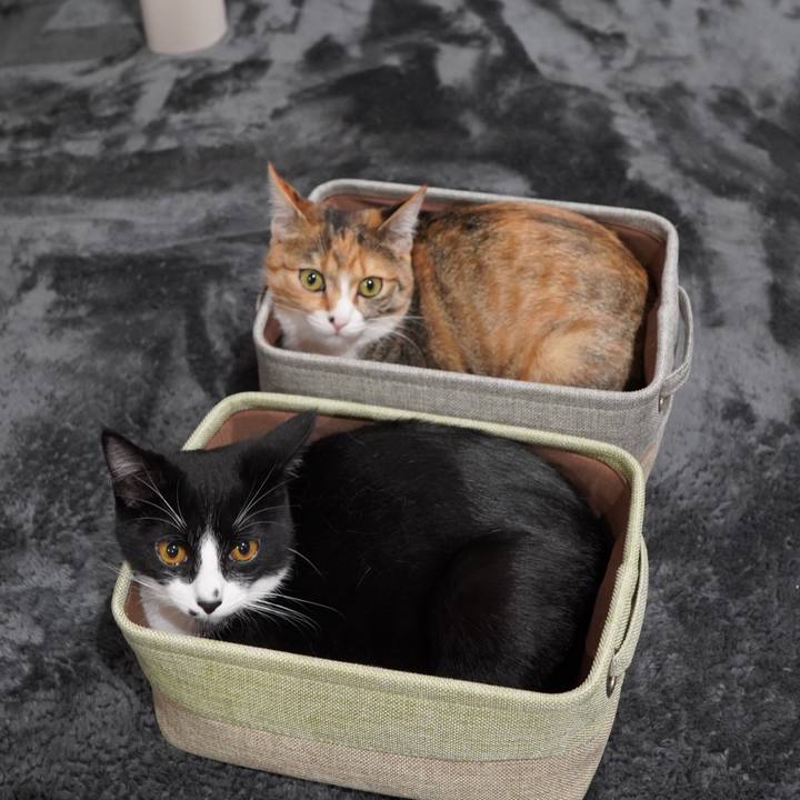 9c248939 0f77 46e7 85d7 2b3a55958a39 1584105916941