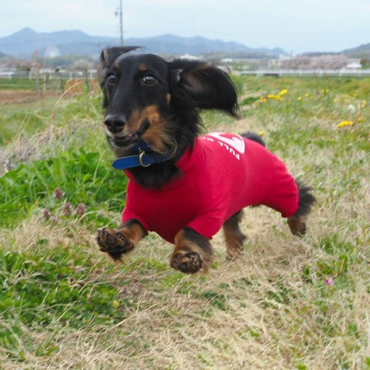 9c24a77e 8aaa 4d41 8536 d84d6b6470a0 1555219279186