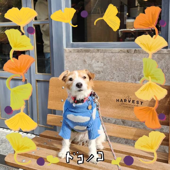 9c24b6a5 b7cb 44e2 a9e4 12367ddbab4a 1729929917034