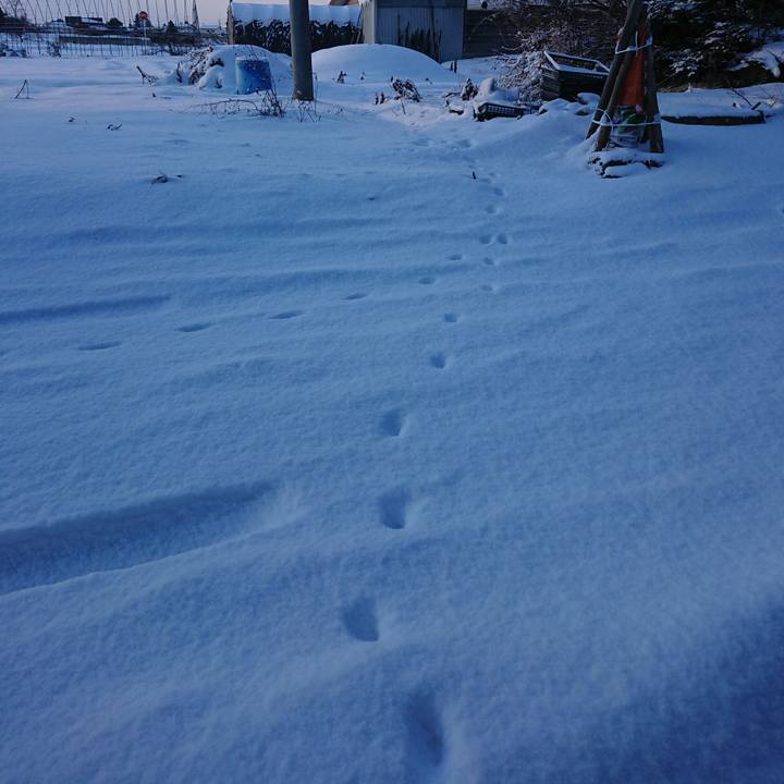 9c24dc27 96a8 4d60 831a c62a1f17286d 1581201149541