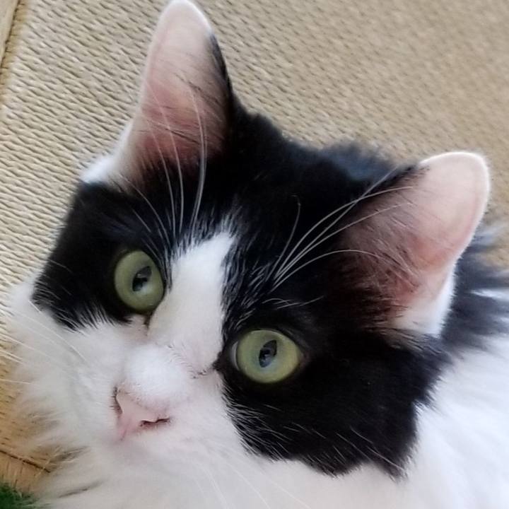 9c24dd1c b386 414b 8608 22f818f4bb95 1567817019819