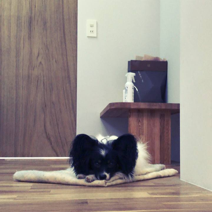 9c24ddc6 9257 4c68 beeb e77baa9961fa 1509922796566