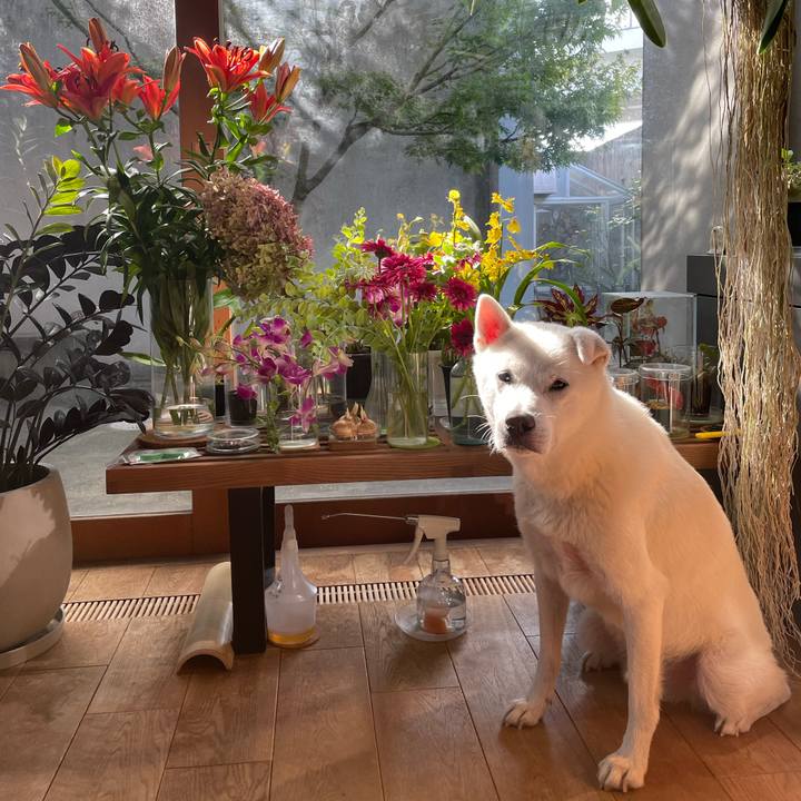 9c2503dd 6104 4902 bcd8 12e572a774c5 1728472647351