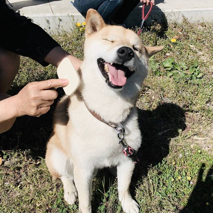 9c251f31 985d 4744 96dd 91a7d2e09c57 1556204837417