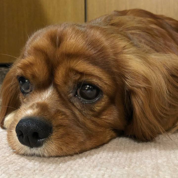 9c25422d cce1 45bd 800e 3fac2472ebea 1555599716836