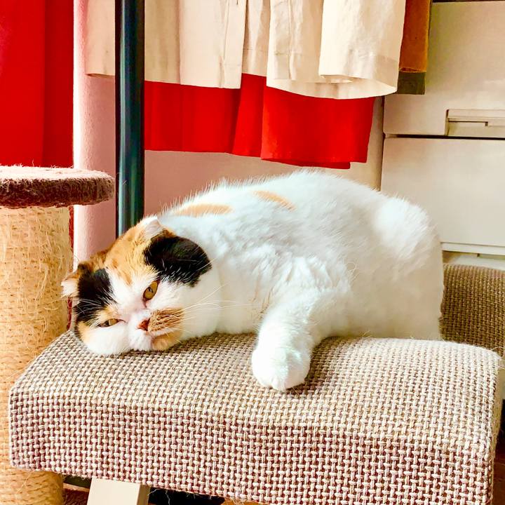 9c25a015 fa71 4d86 ab71 0978d29330d4 1568415957099