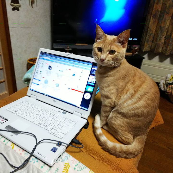 9c25a670 18c4 481e 8a18 21579c169c87 1551604711147