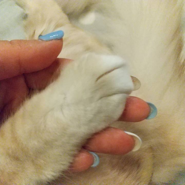 9c25aa69 803f 4b87 be3e 221f18b23cd2 1615113954011