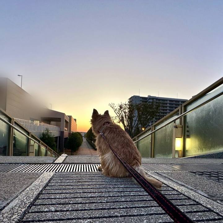 9c25b4e1 c989 49d3 8ca1 36eed3ce819e 1731402640042