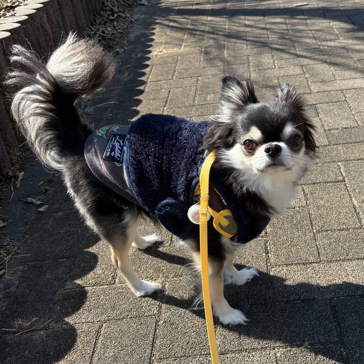 9c2601e0 1aa4 496e a20d a13f0afbe55b 1740844572761