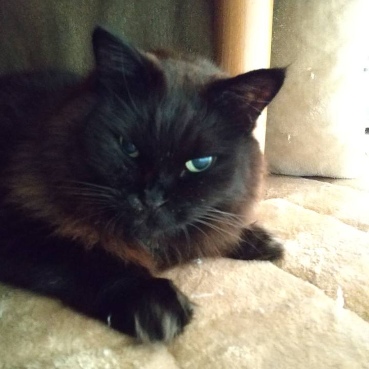 9c2634eb 71b2 4267 b15a 9e003d8305b1 1643498541838