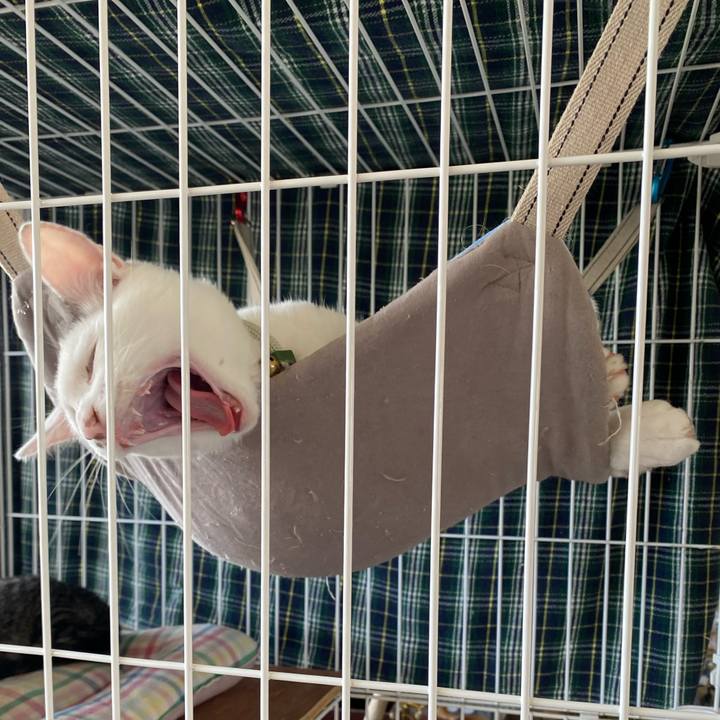 9c263a02 0325 4f19 800f a4e9704406c6 1694150526026