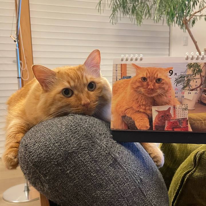 9c2652d9 f026 4eea acef 3b8f0f57cbfc 1757163736940