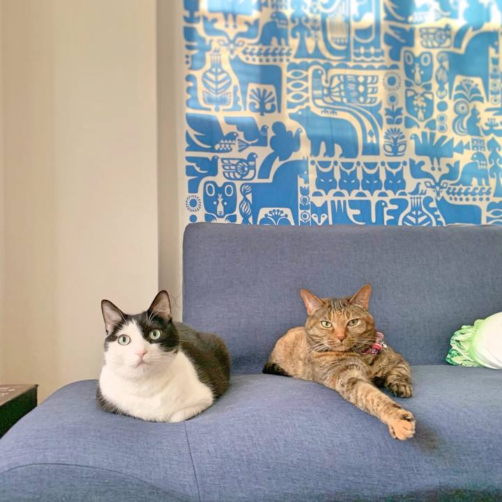 9c267248 680d 428f a6c9 5f3d05ebafa4 1589324308748